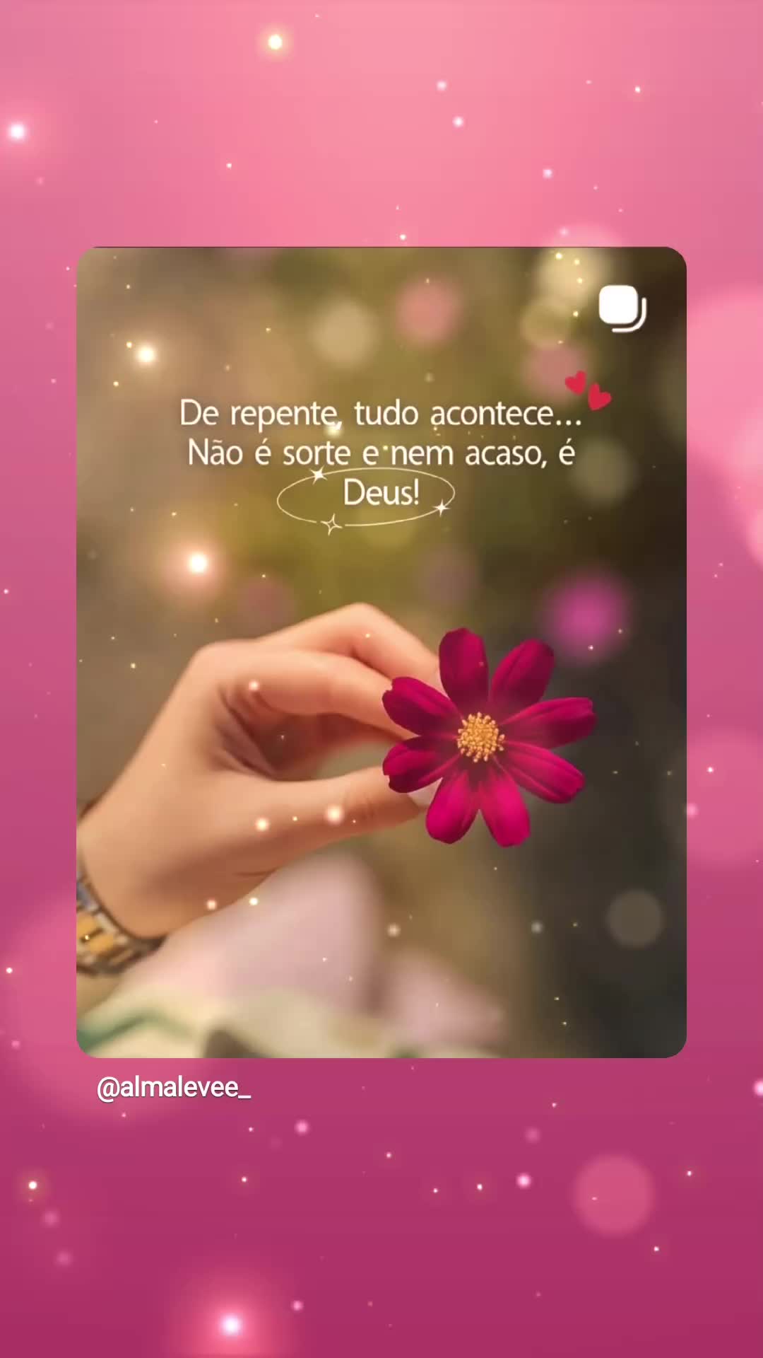 @Andreia Ottoni