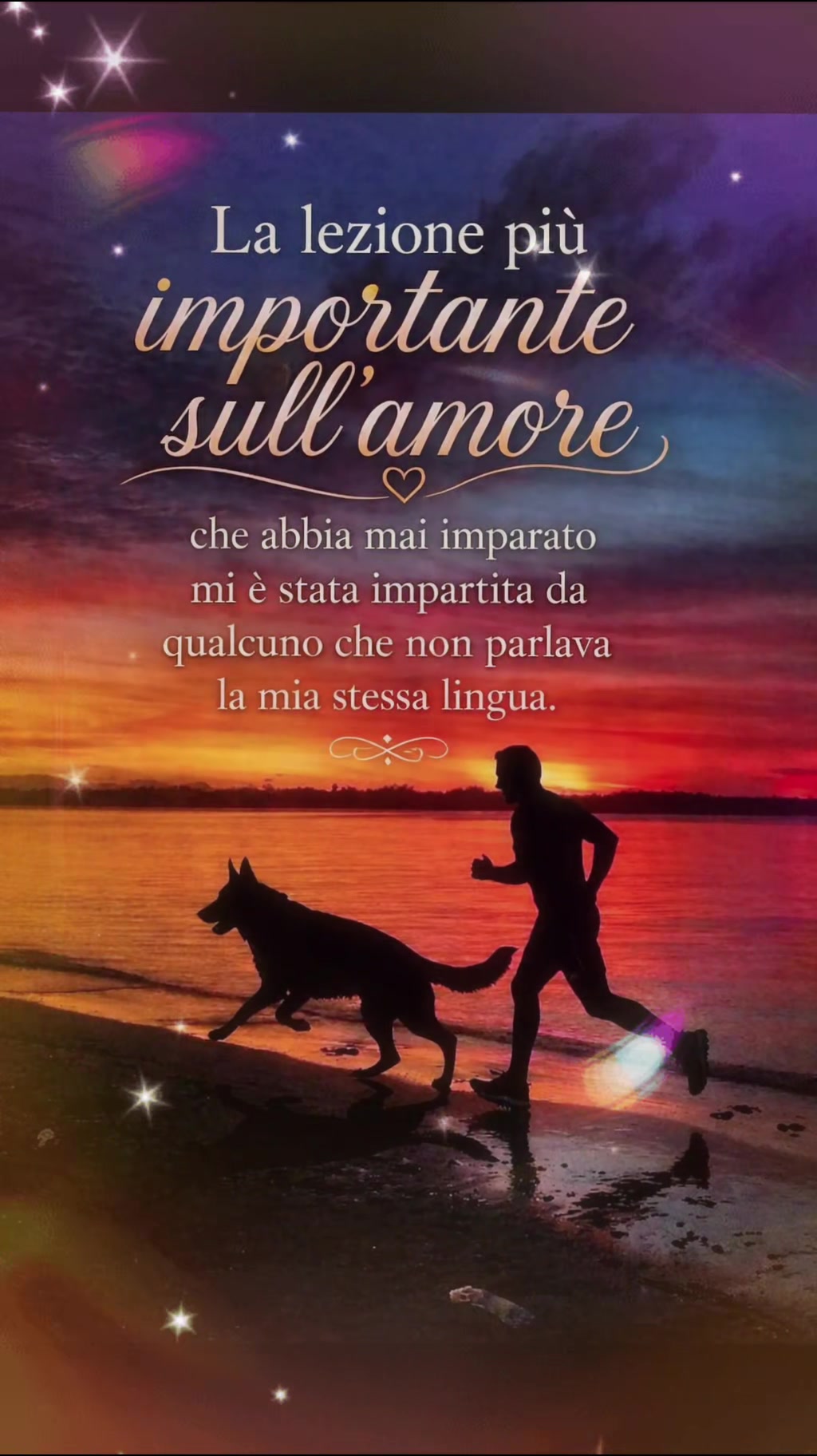 @Ale4Pets