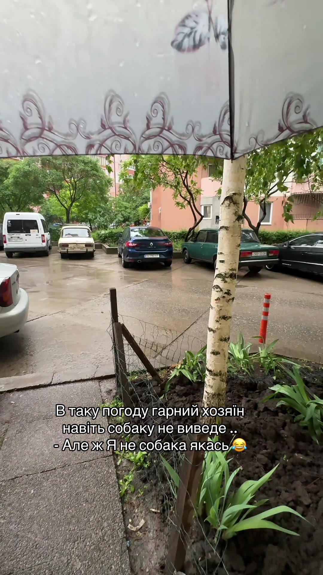 @ВІКІ/ V_S_H_Shop_/ 7км