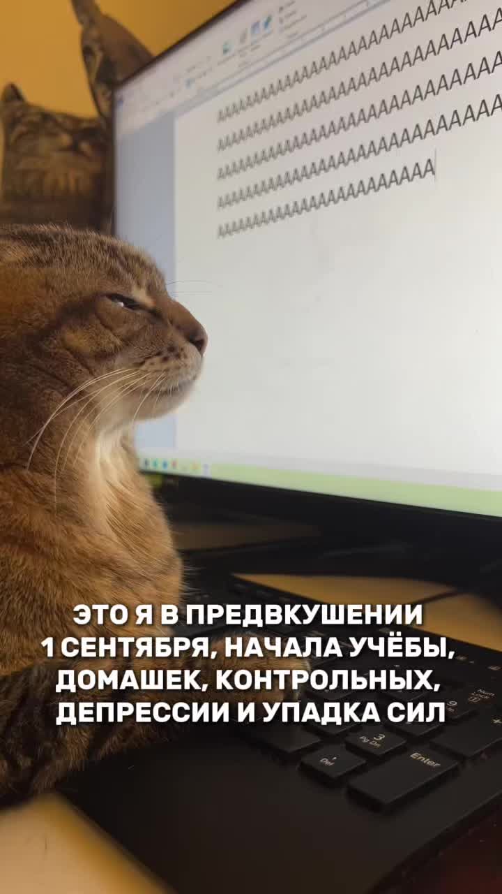@Алёна Бриз