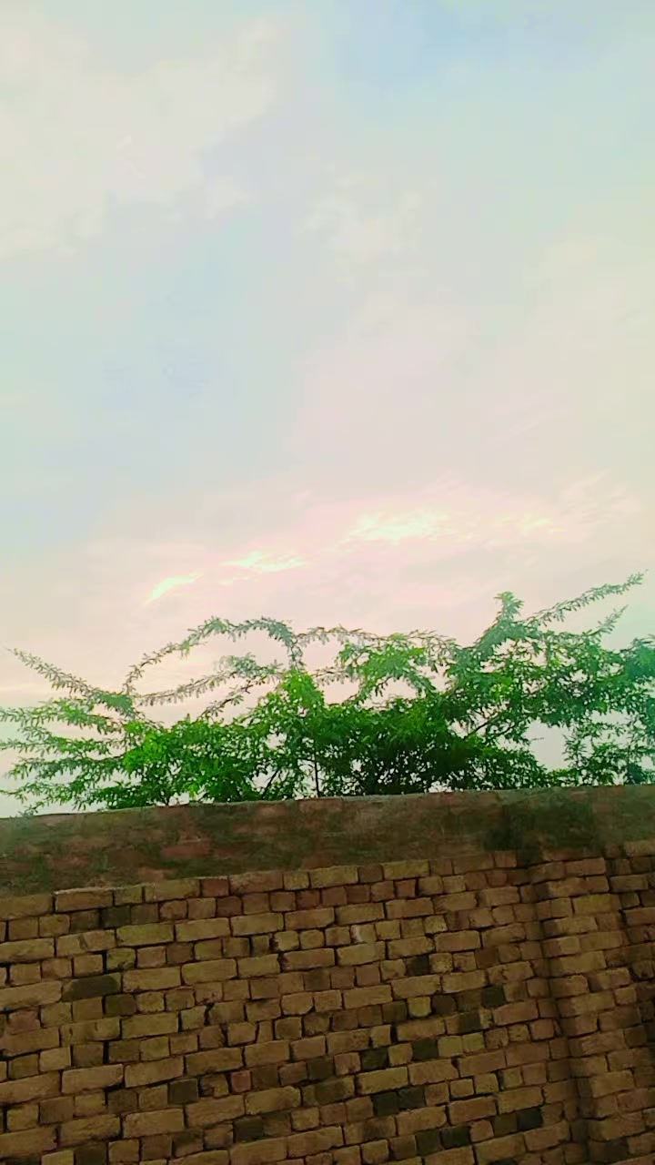 @╾━بلوچ عرباب 🥀🥀 قیصرانی