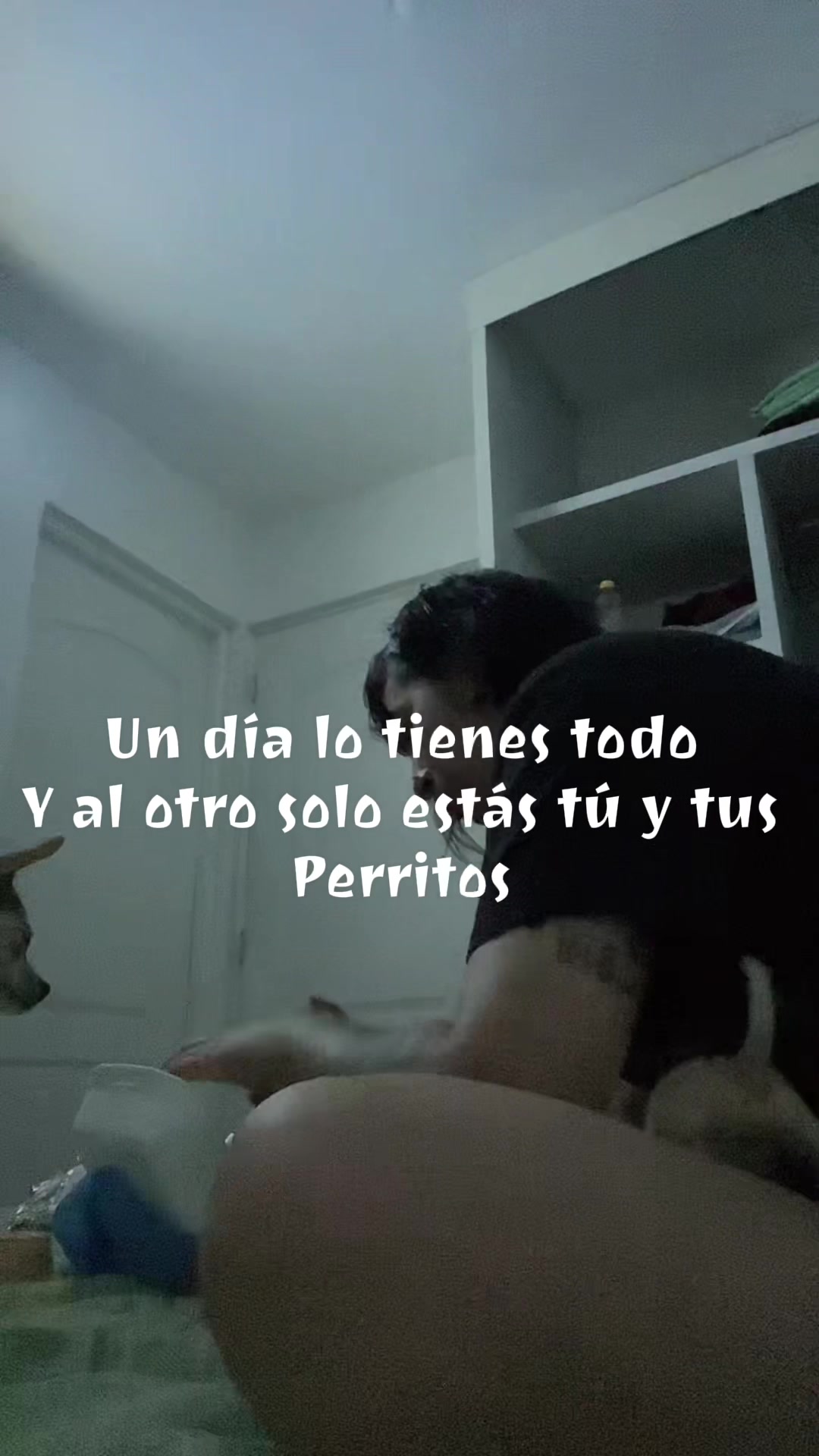 @Eevee_Bugss