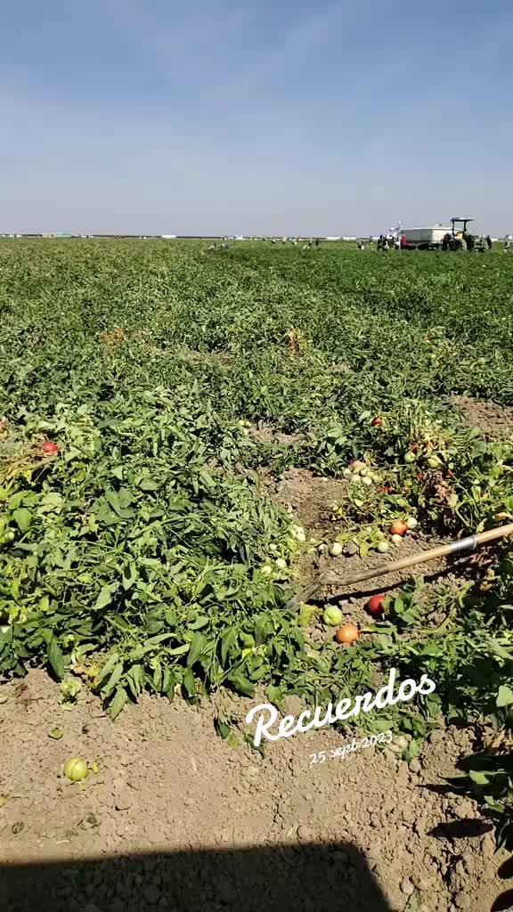 @Juan Cruz465080