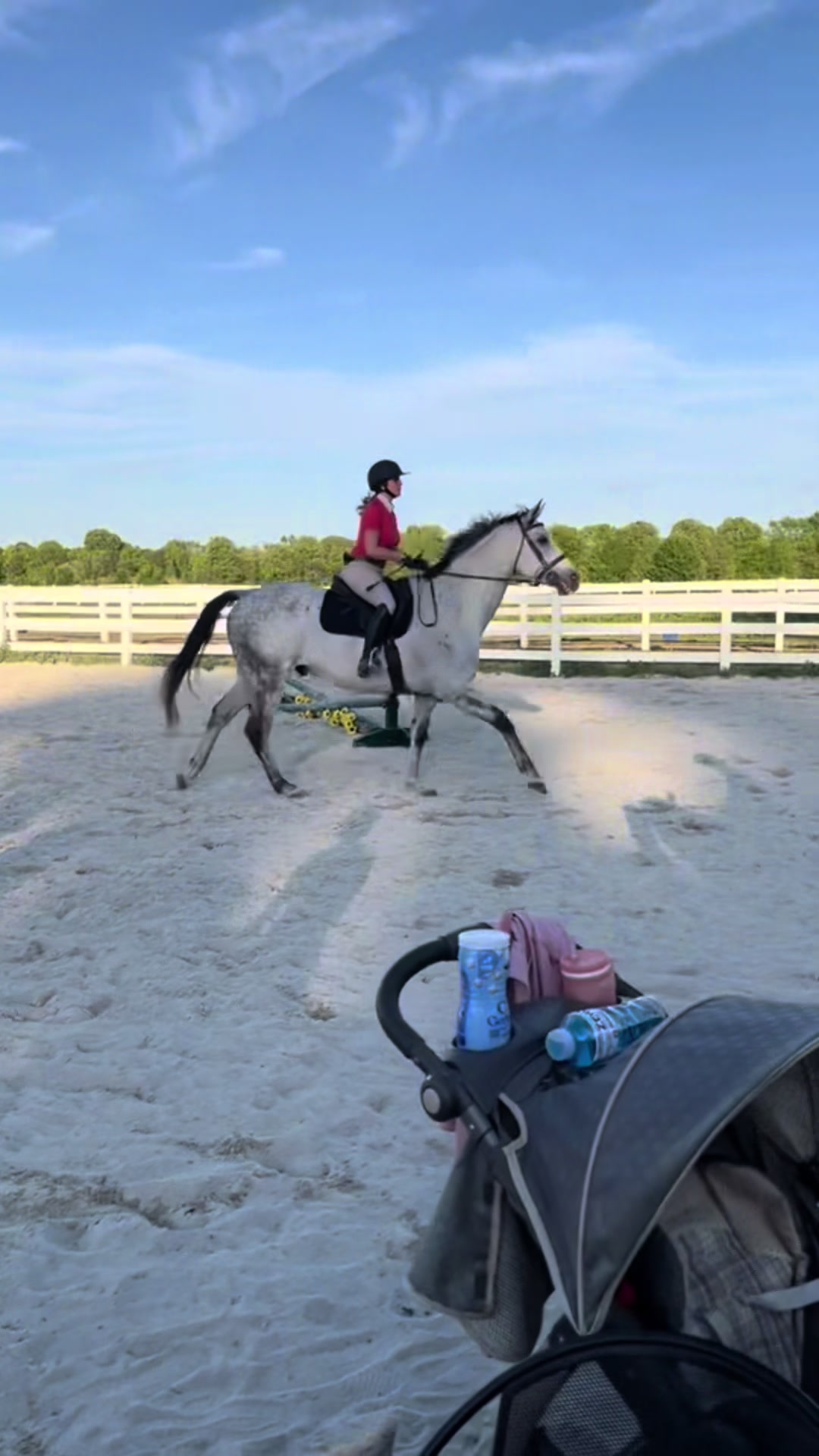 @Aftyn 🐎
