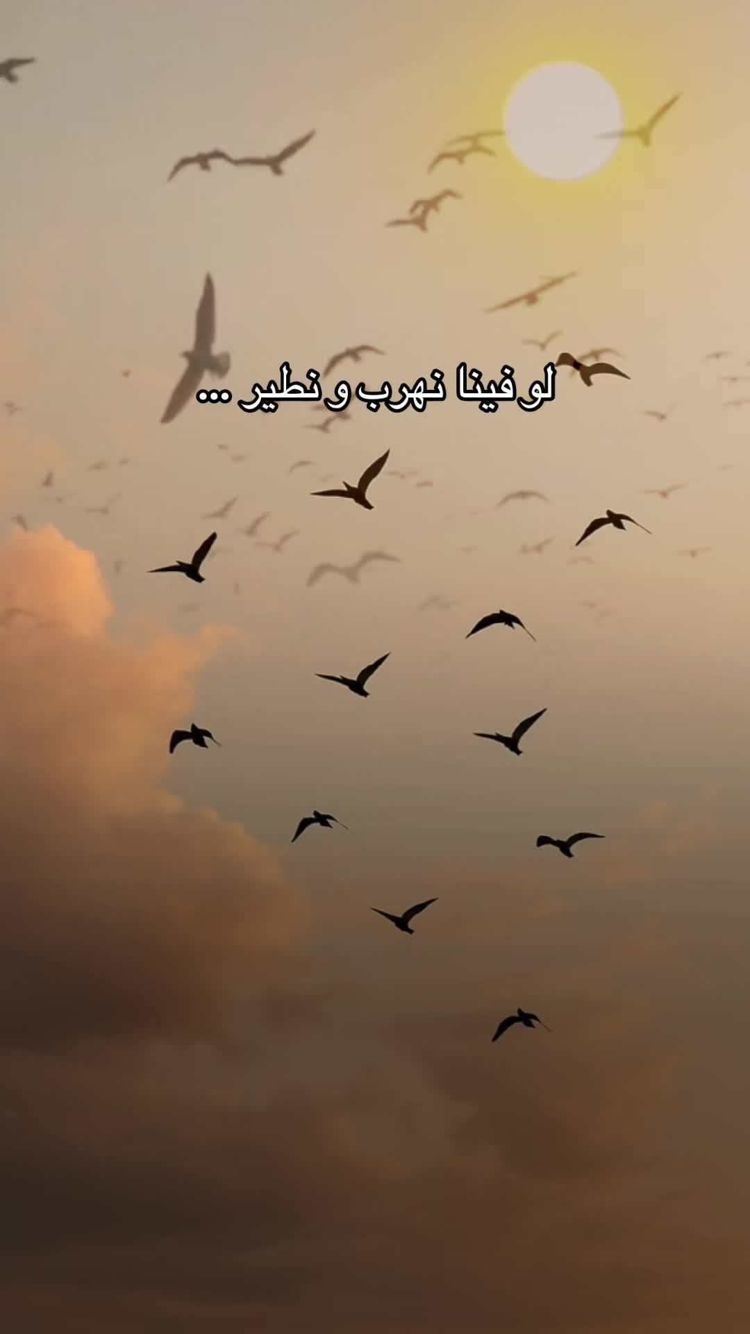 @zaghroutah