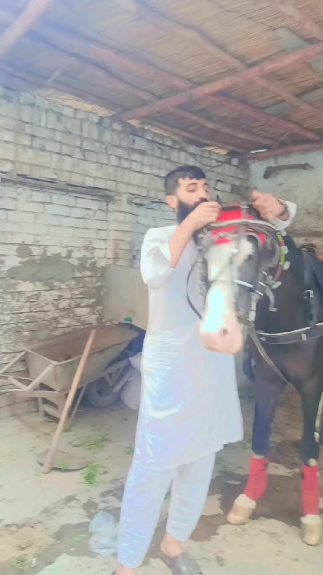 @KaKa Gujjar Horse lovers