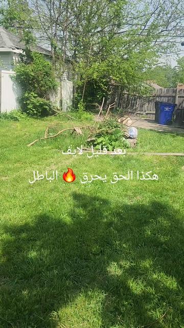 @Dina33953