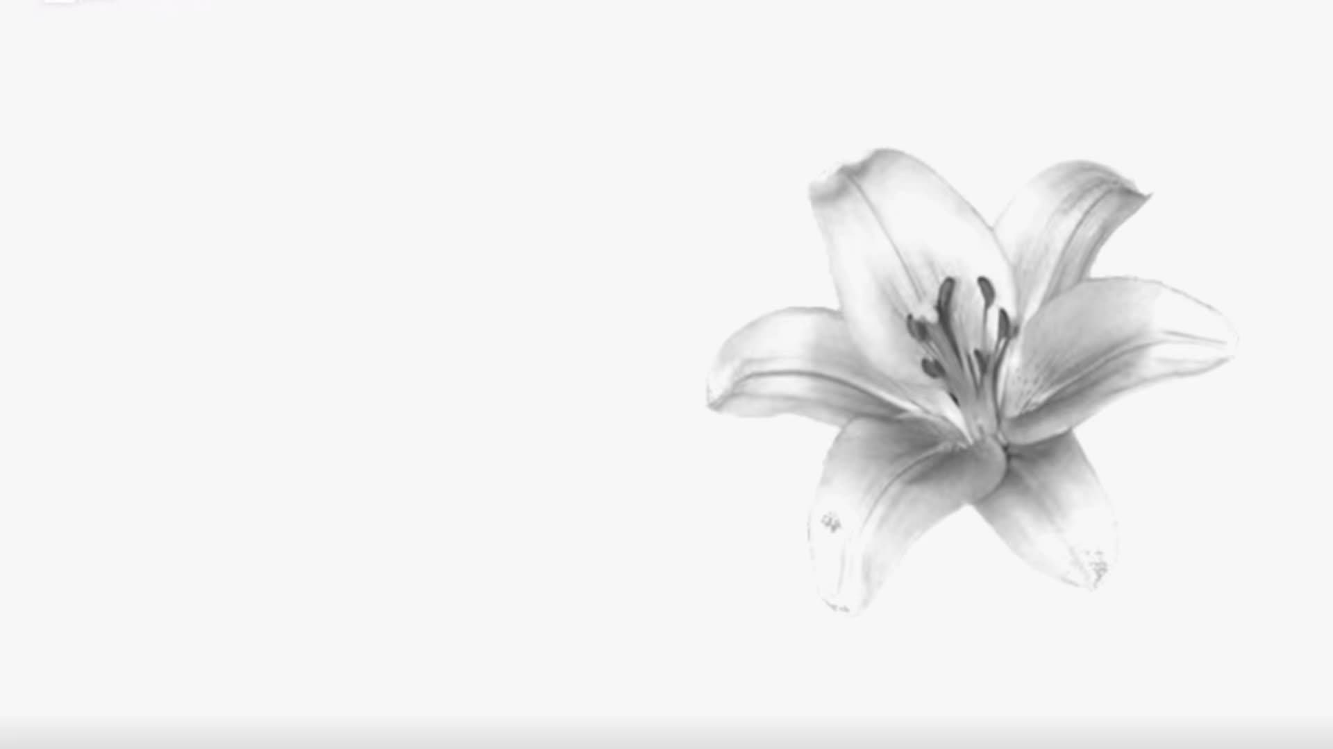 @𝐲𝐰𝐞𝐮