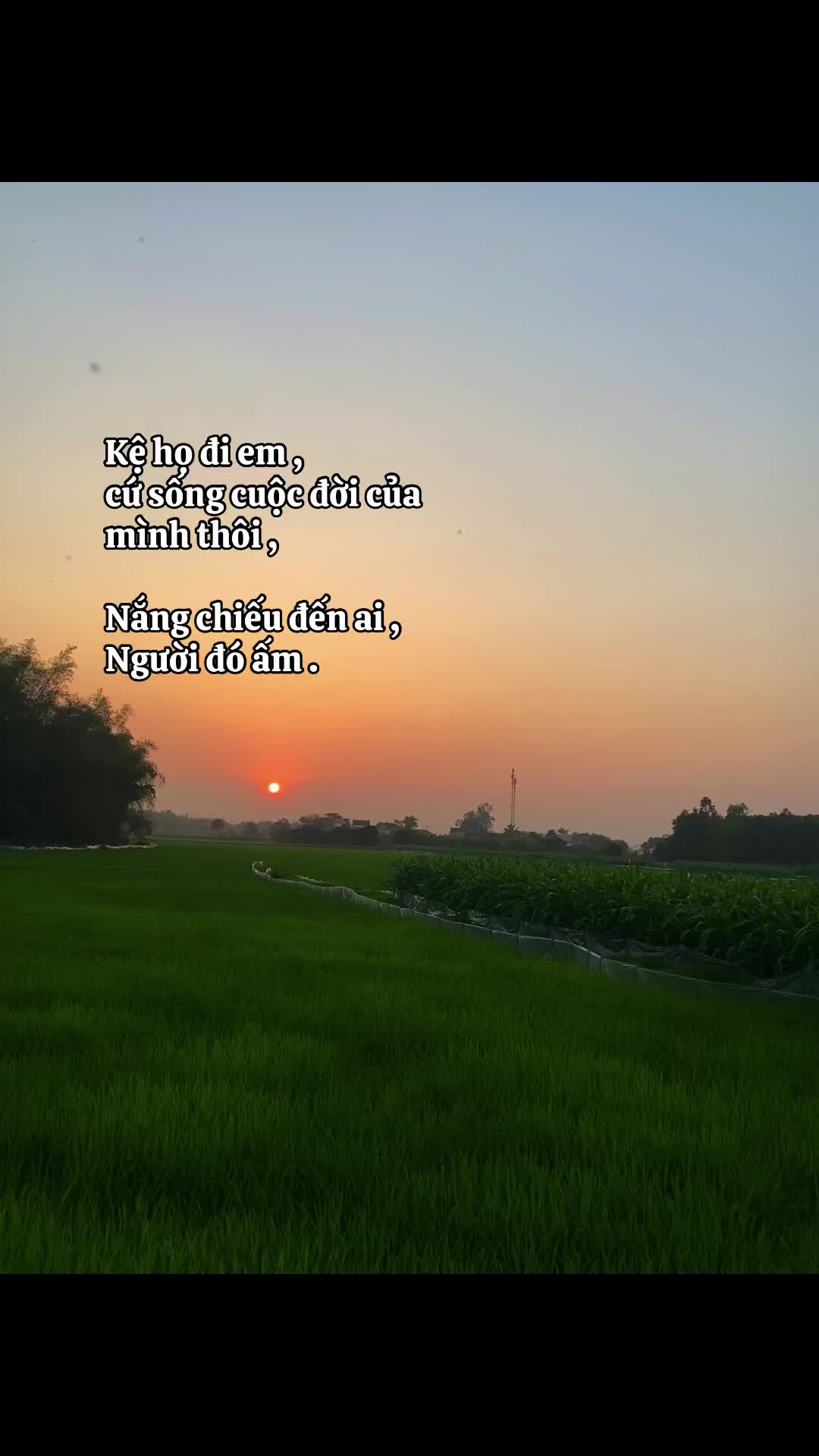 @09th1🌿