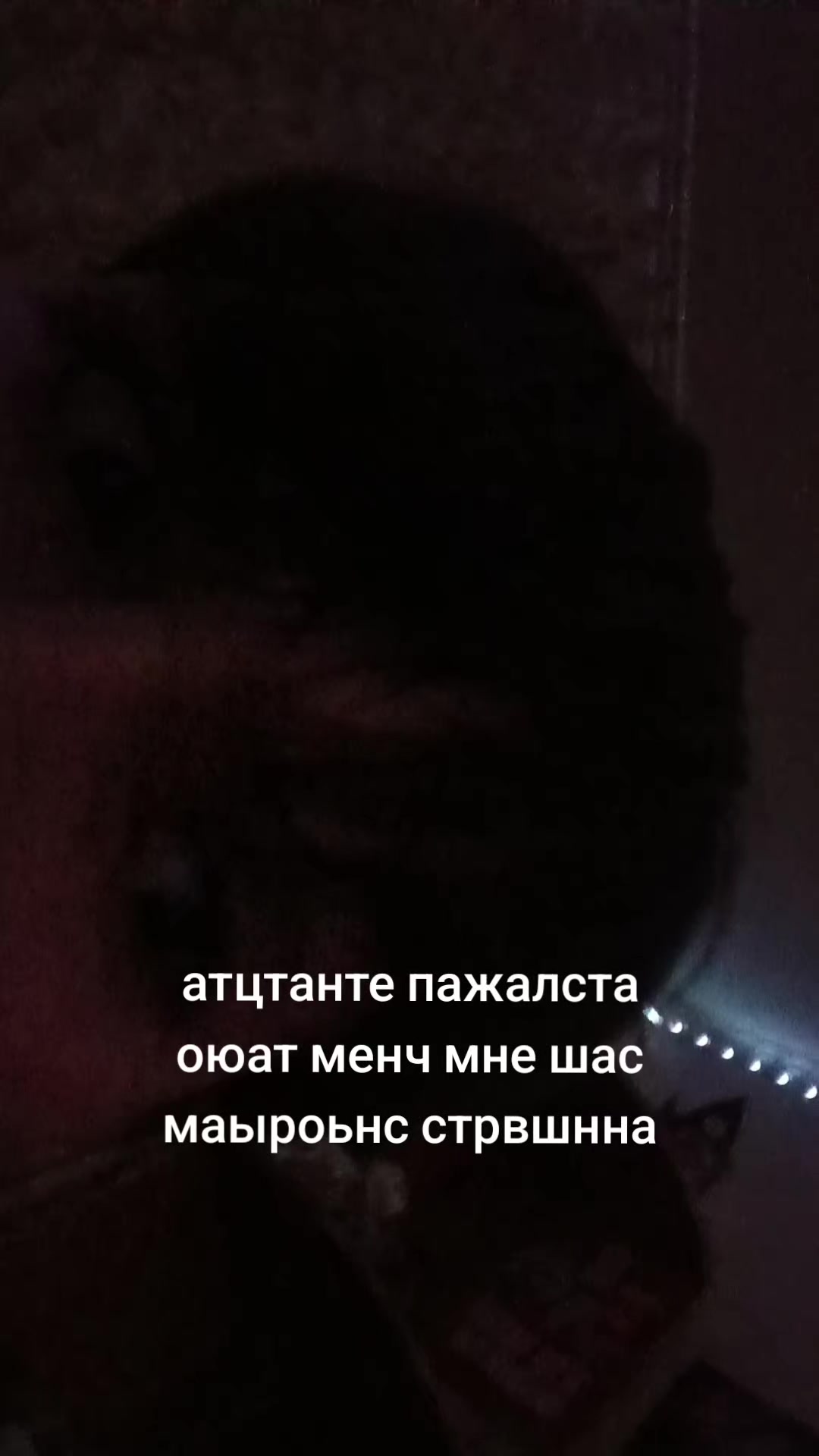@pexxab