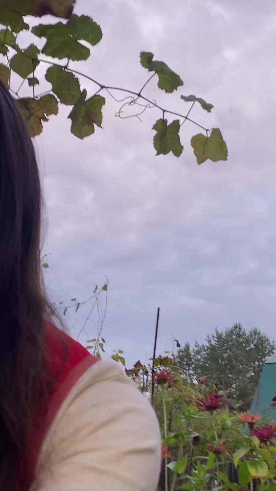 @guccisonyaa