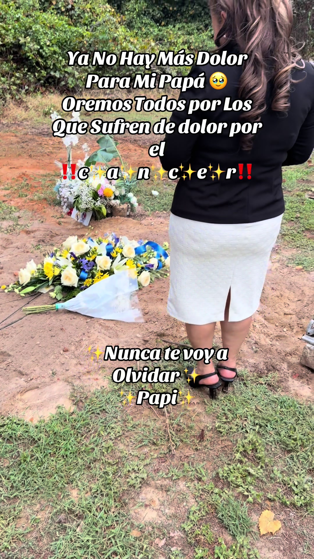 @El Regalo Perfecto🎁