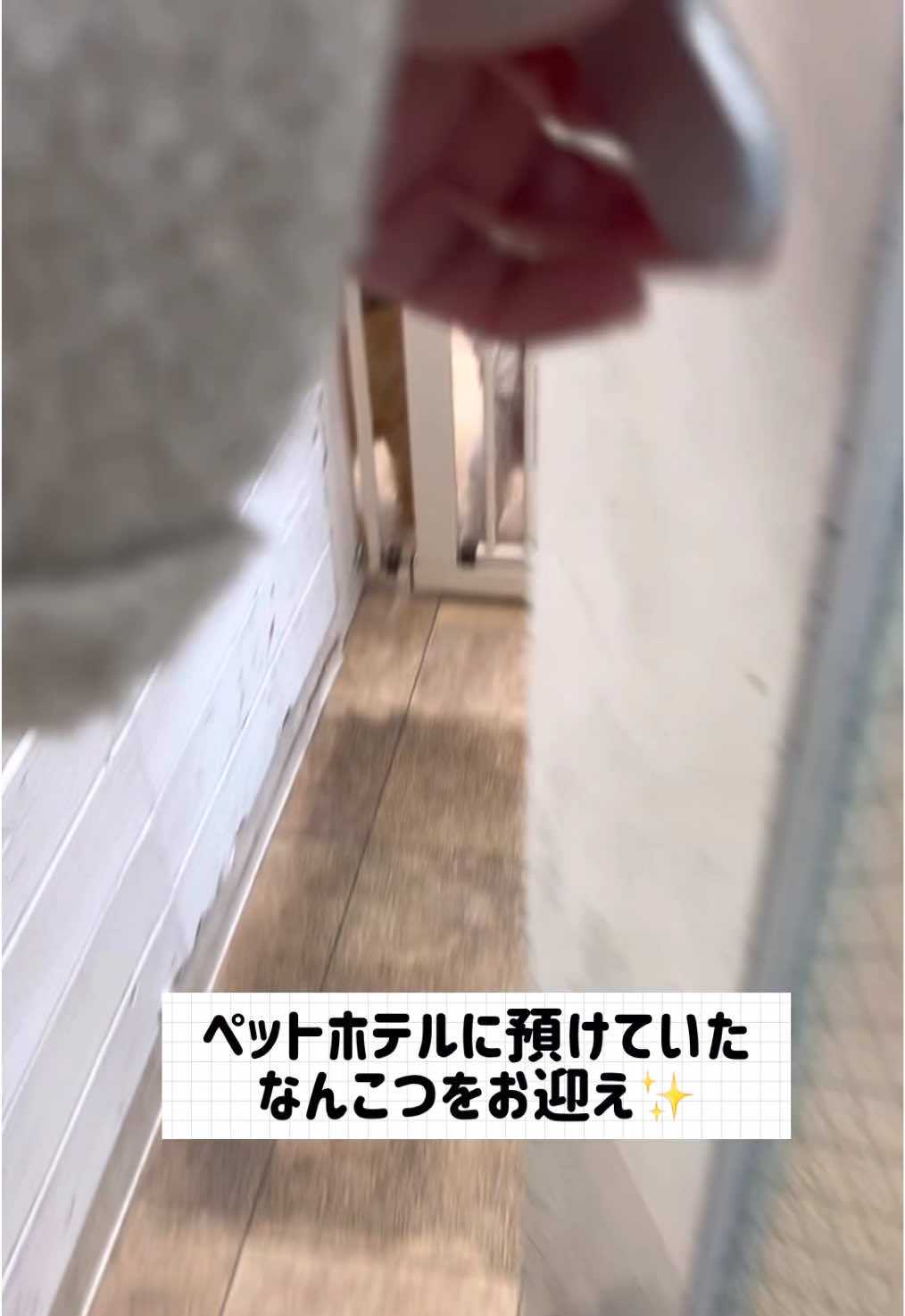 @なんこつ