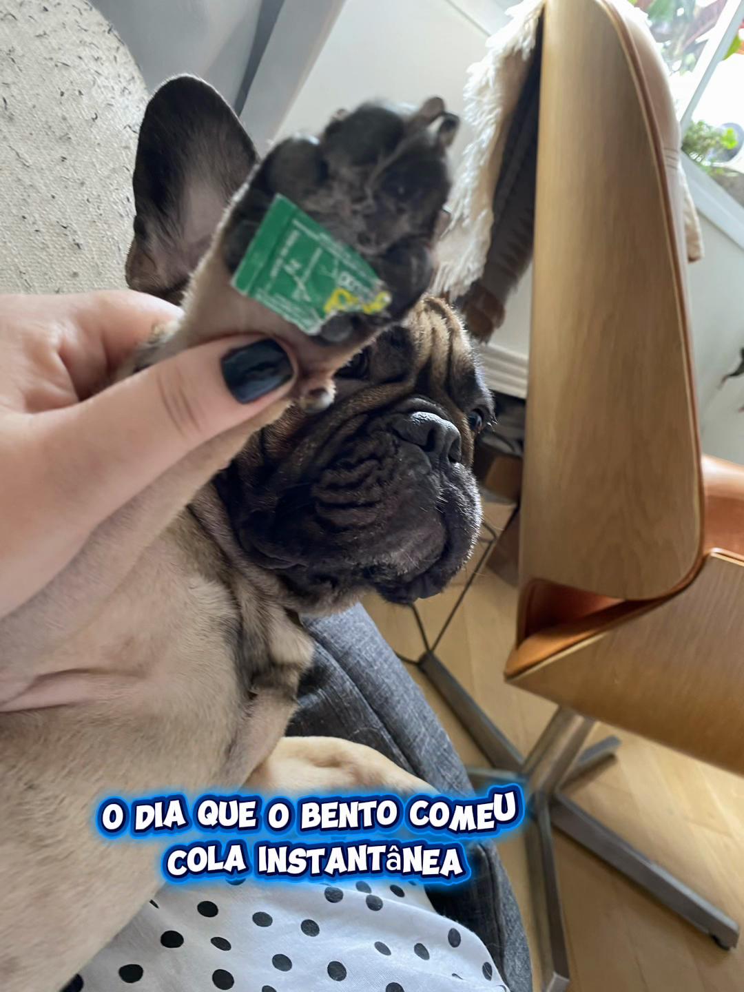 @Oi, Jude!