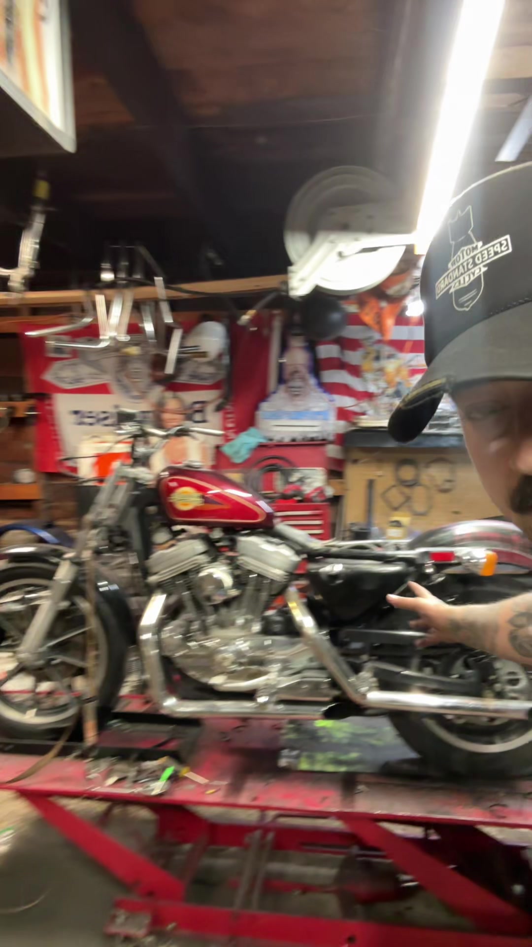 @Boneyard Gnat