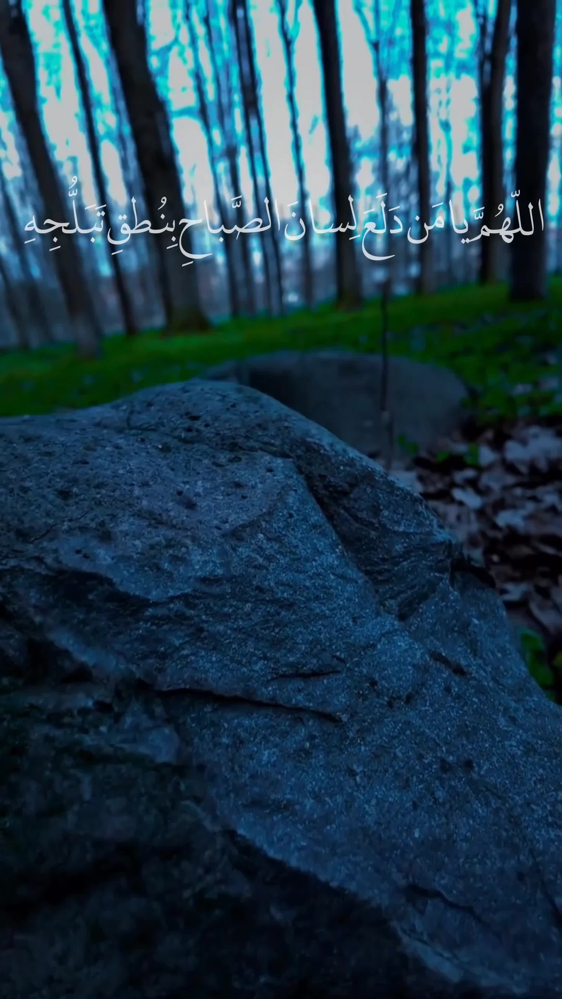 @ابِـن عَـقـيِل||𝟐𝟎𝟎𝟖/