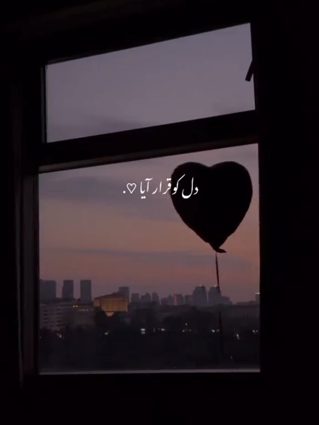 @𝙕 𝘼 𝙞 𝙉 👻