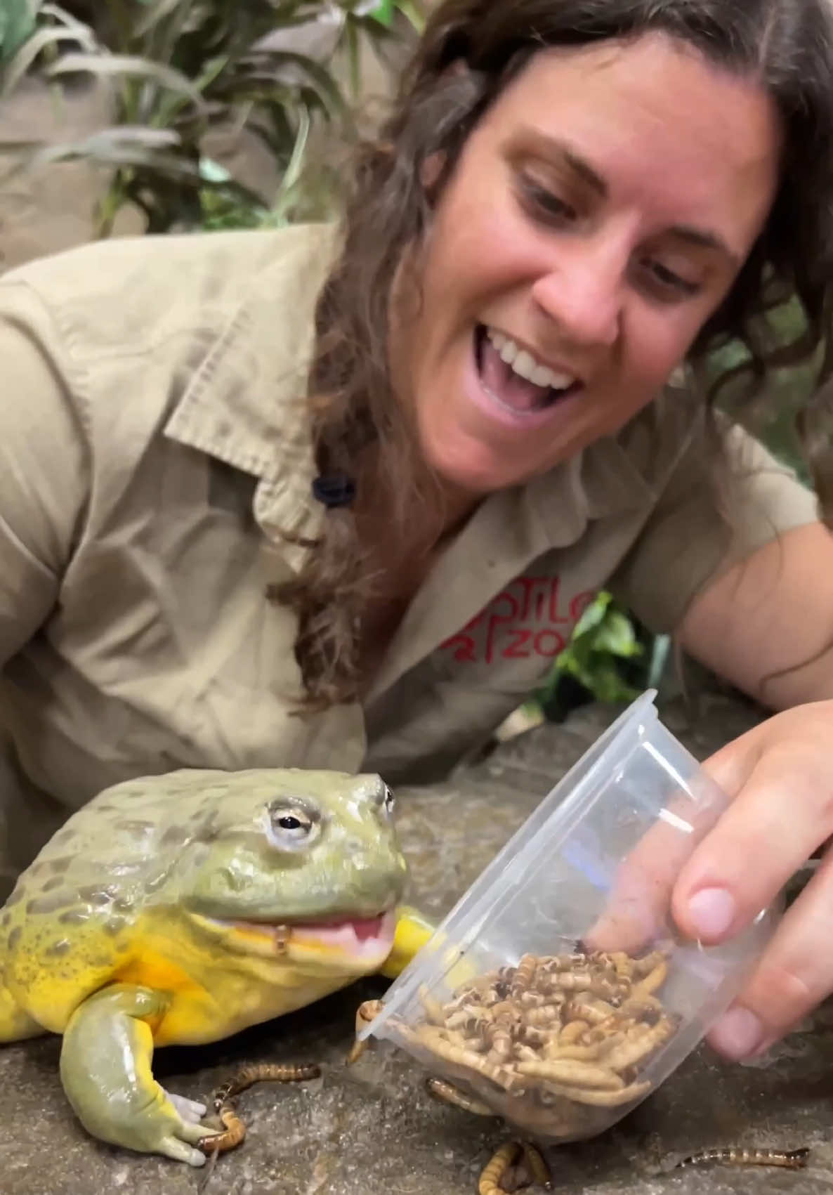 @The Reptile Zoo