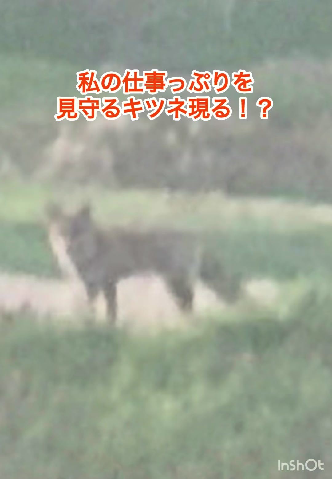 @ミウラ•リョーコ(イーツカ•リョーコ)