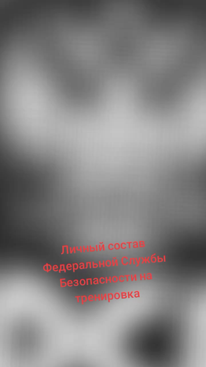 @wolf22877