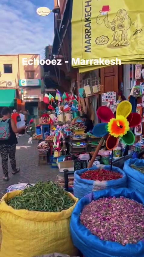 @Eldinora Pashaj