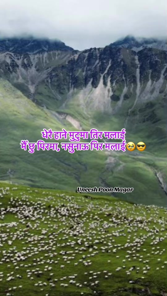 @Uneesh Poon Magar✅