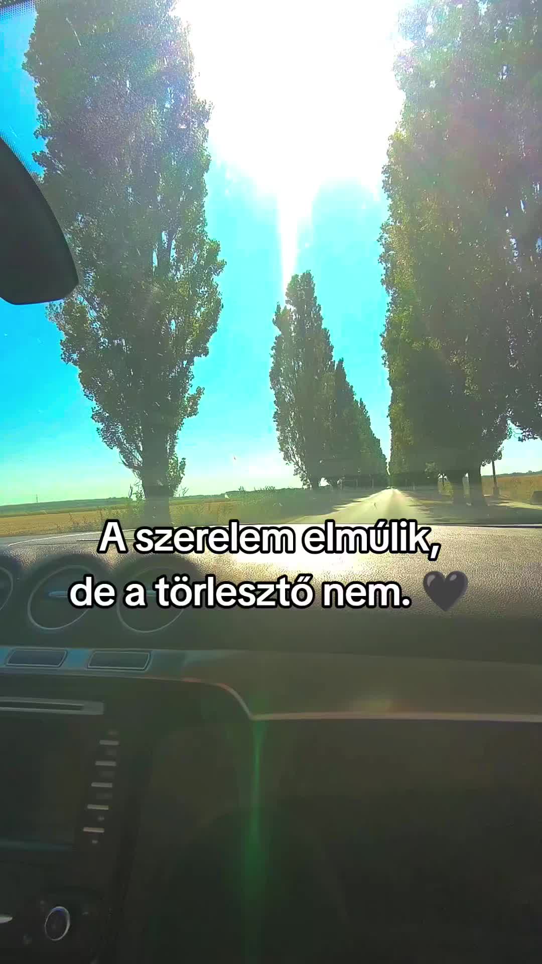 @Tóth Csaba