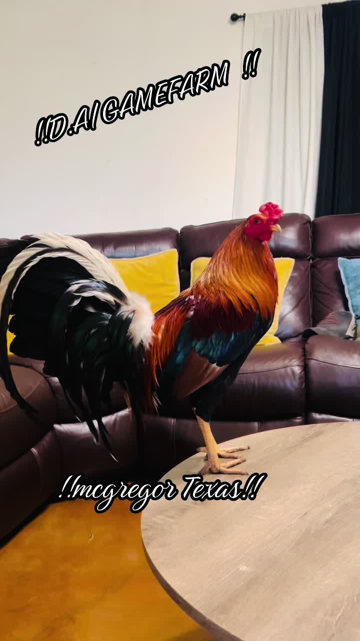 @DAgamefarm