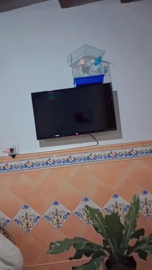 @malak sriwr