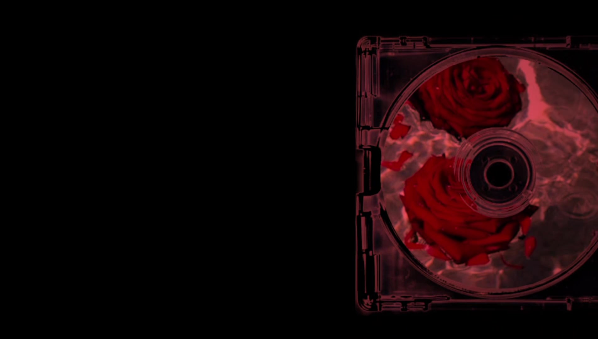 @𝟑𝟎𝟑 𝐈𝐬𝐨𝐥𝐮𝐧𝐞.