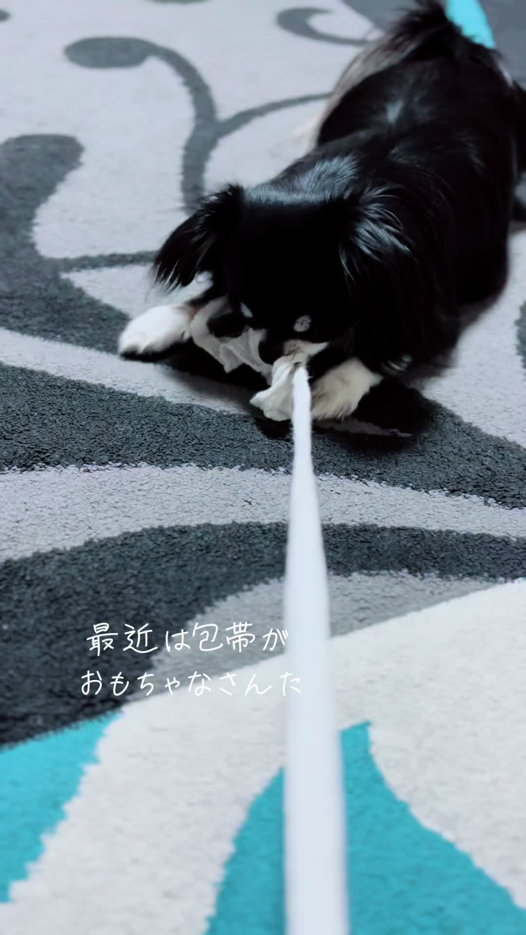 @ayakosansan3
