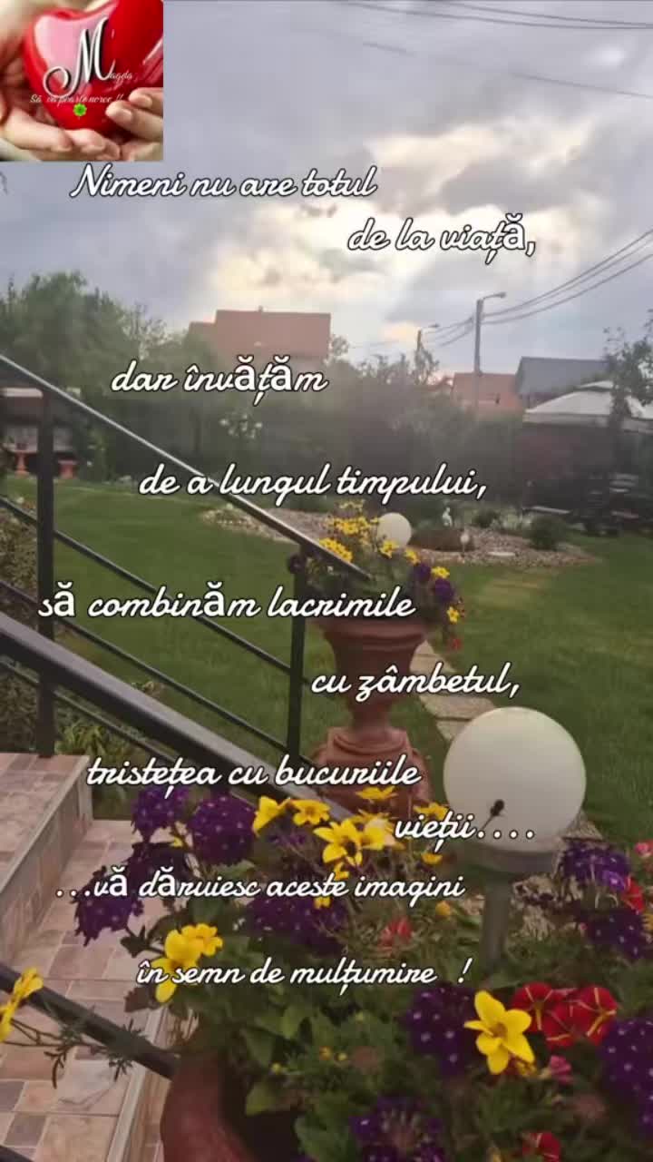 @Stanescu Magdalena