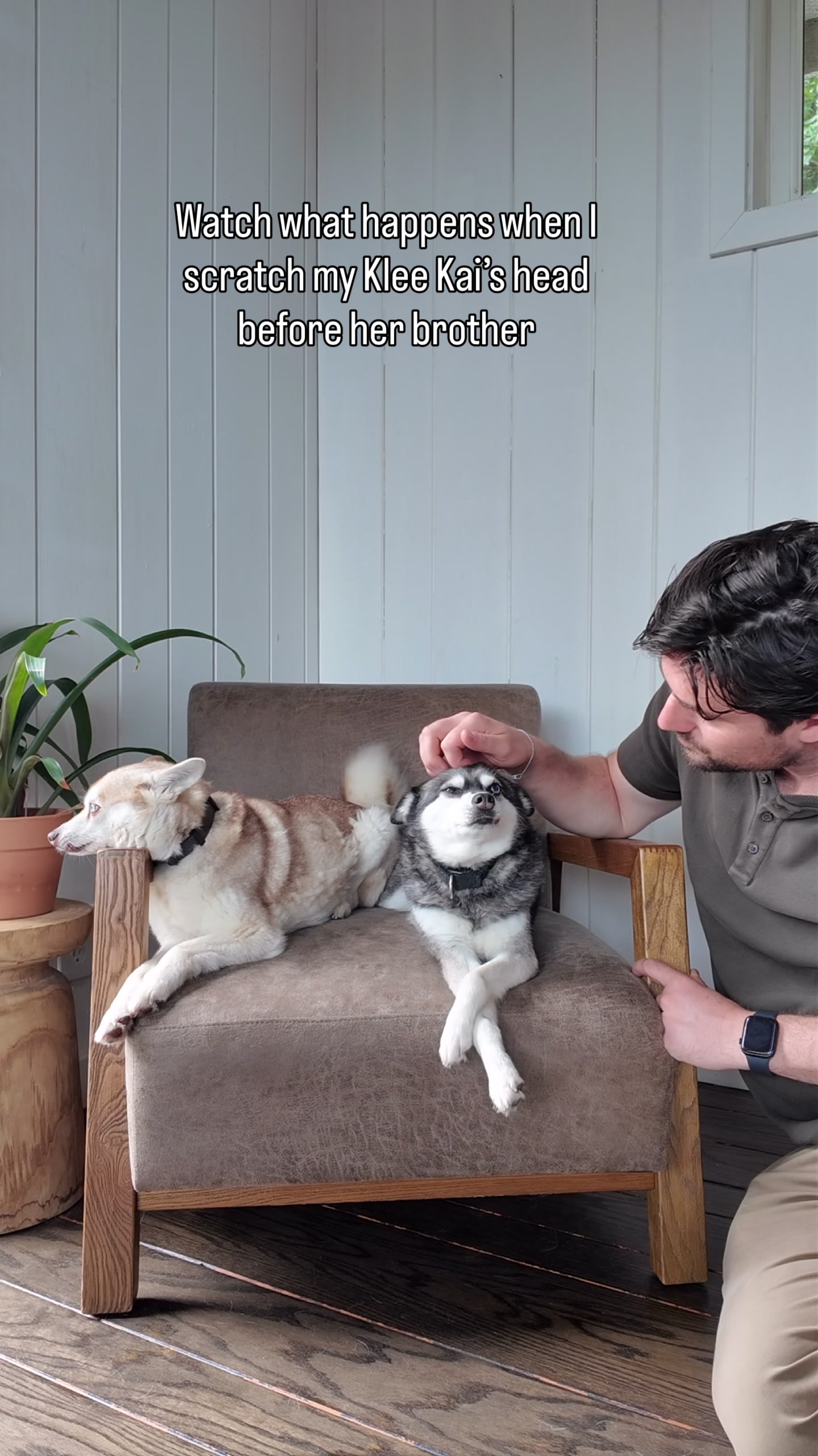 @lifewithkleekai