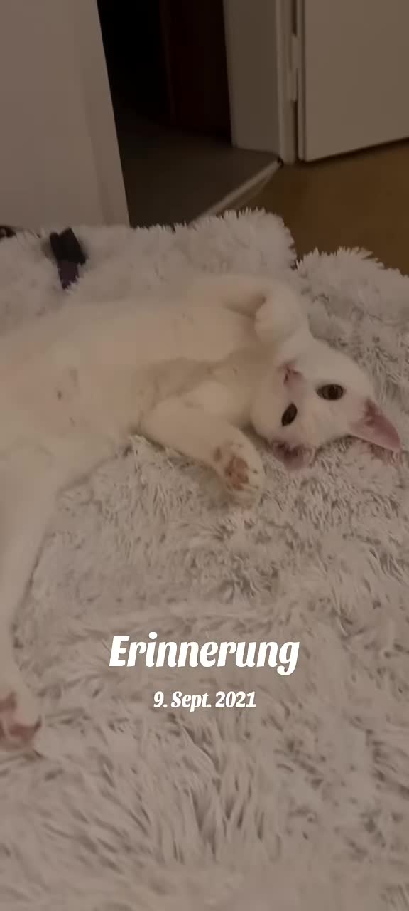 @Sonja