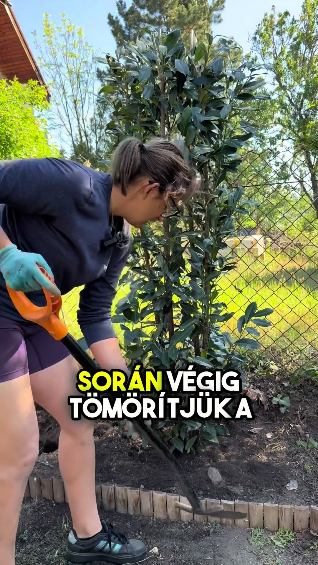 @Jámbor Fanni