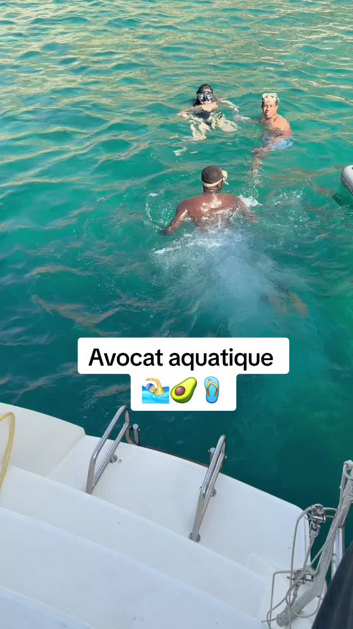 @l'avocat de tik tok 🥑🩴