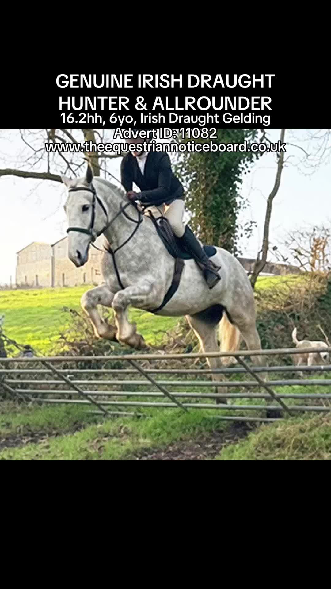 @theequestriannoticeboard