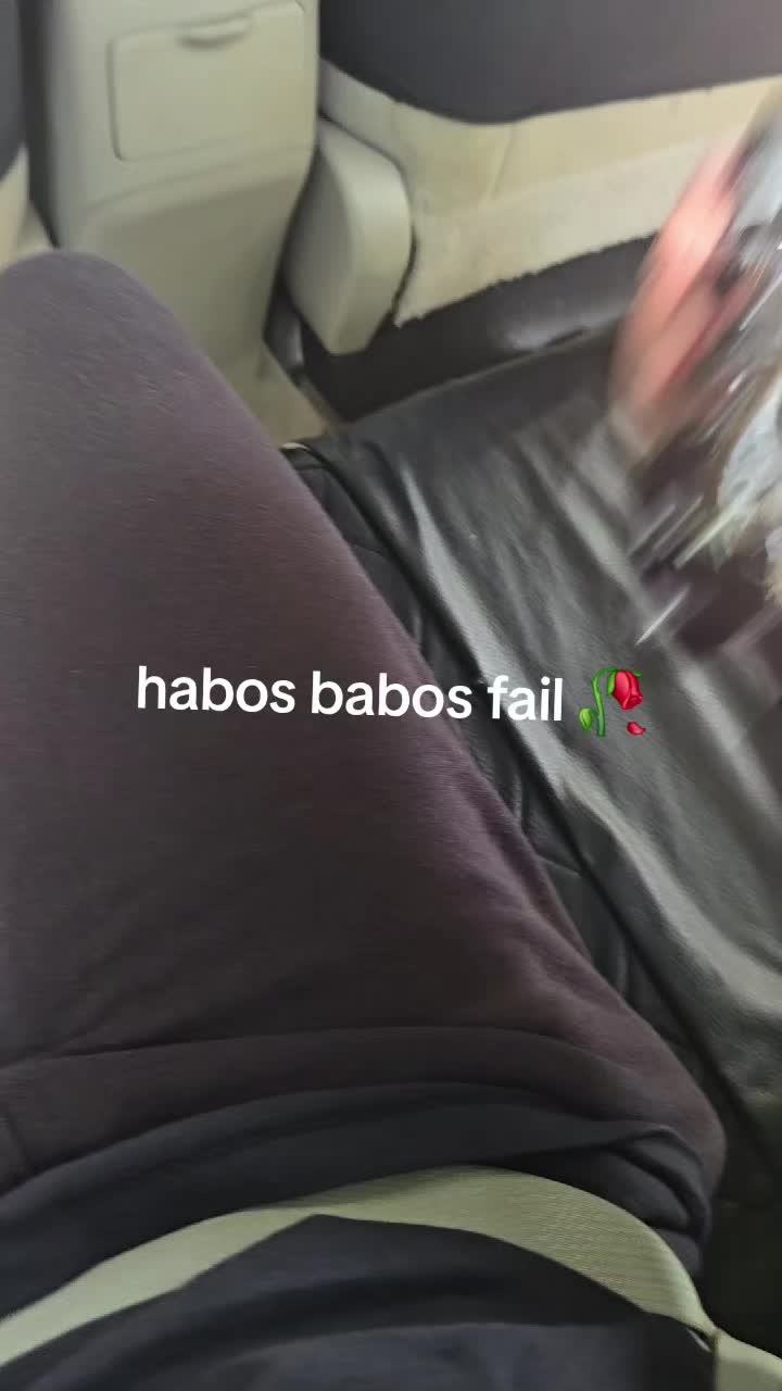 @habos babos