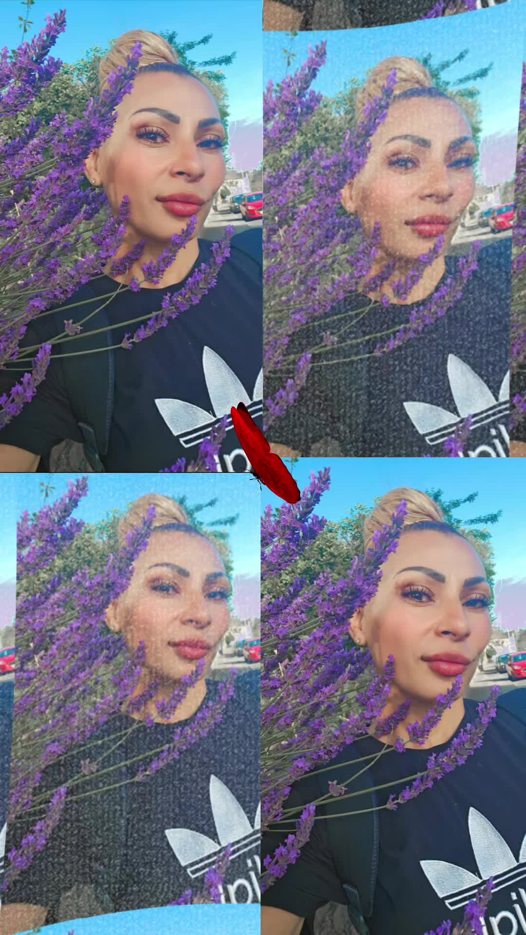 @Tedi Tedi