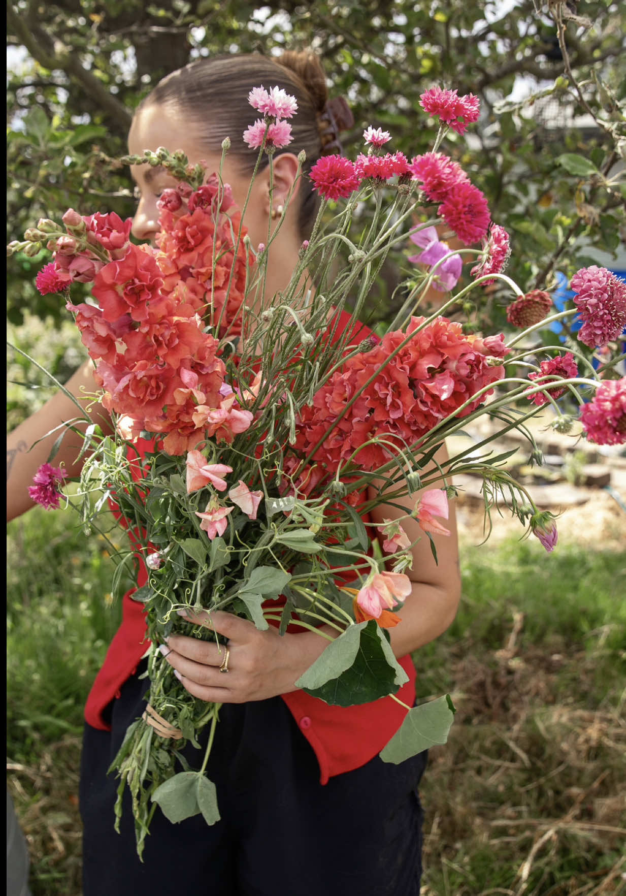 @Chloe