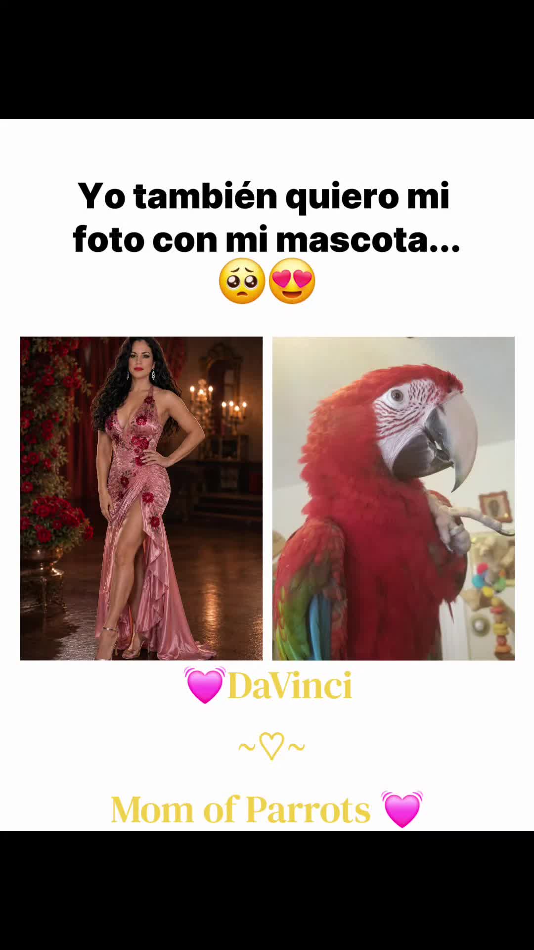 @🦋🇵🇷Mom of Parrots🇵🇷🦋