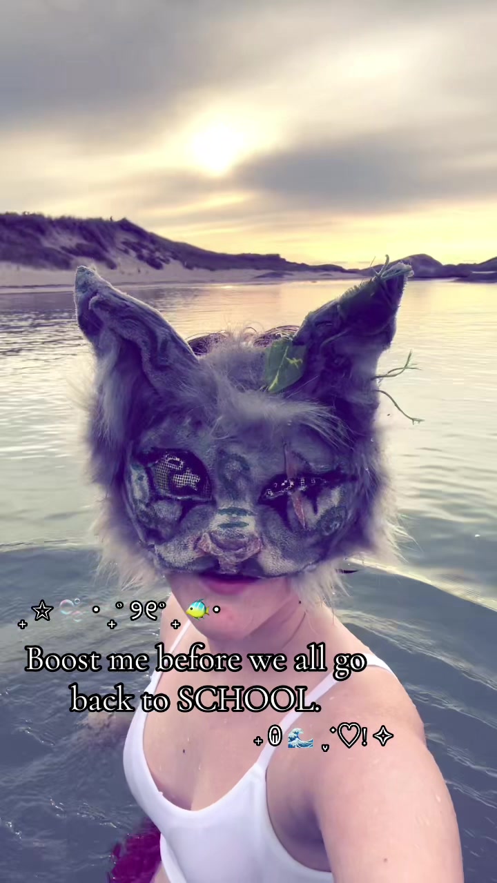@─˚⊹🌿﹕ 𝙾𝚛𝚌𝚑𝚒𝚍 ﹕˖˚