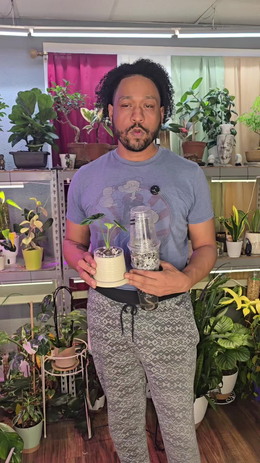 @JT - BigEGOPlants