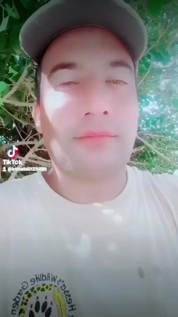 @irshadali123482