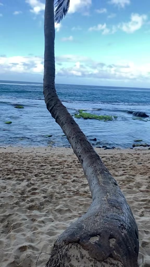 @Maui Wahini🌺