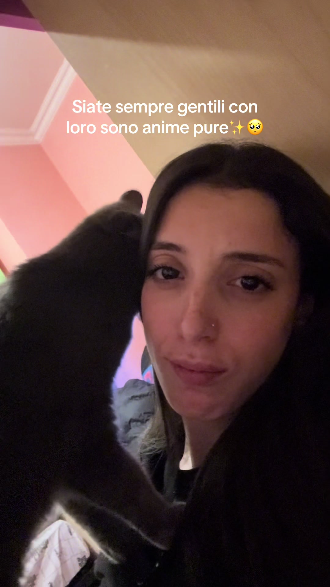 @Melissa Artizzu❤