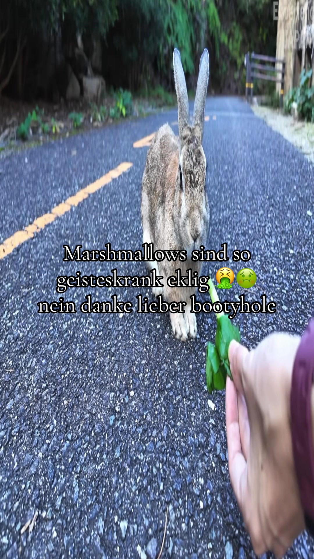 @Eierkopfsalat