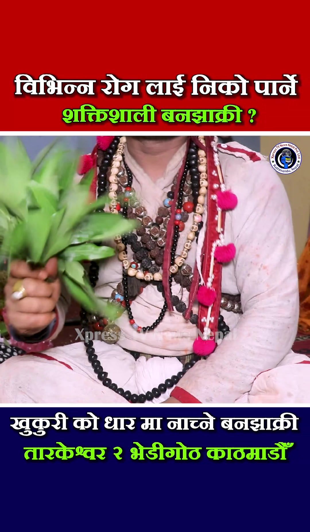 @xpress tv news nepal