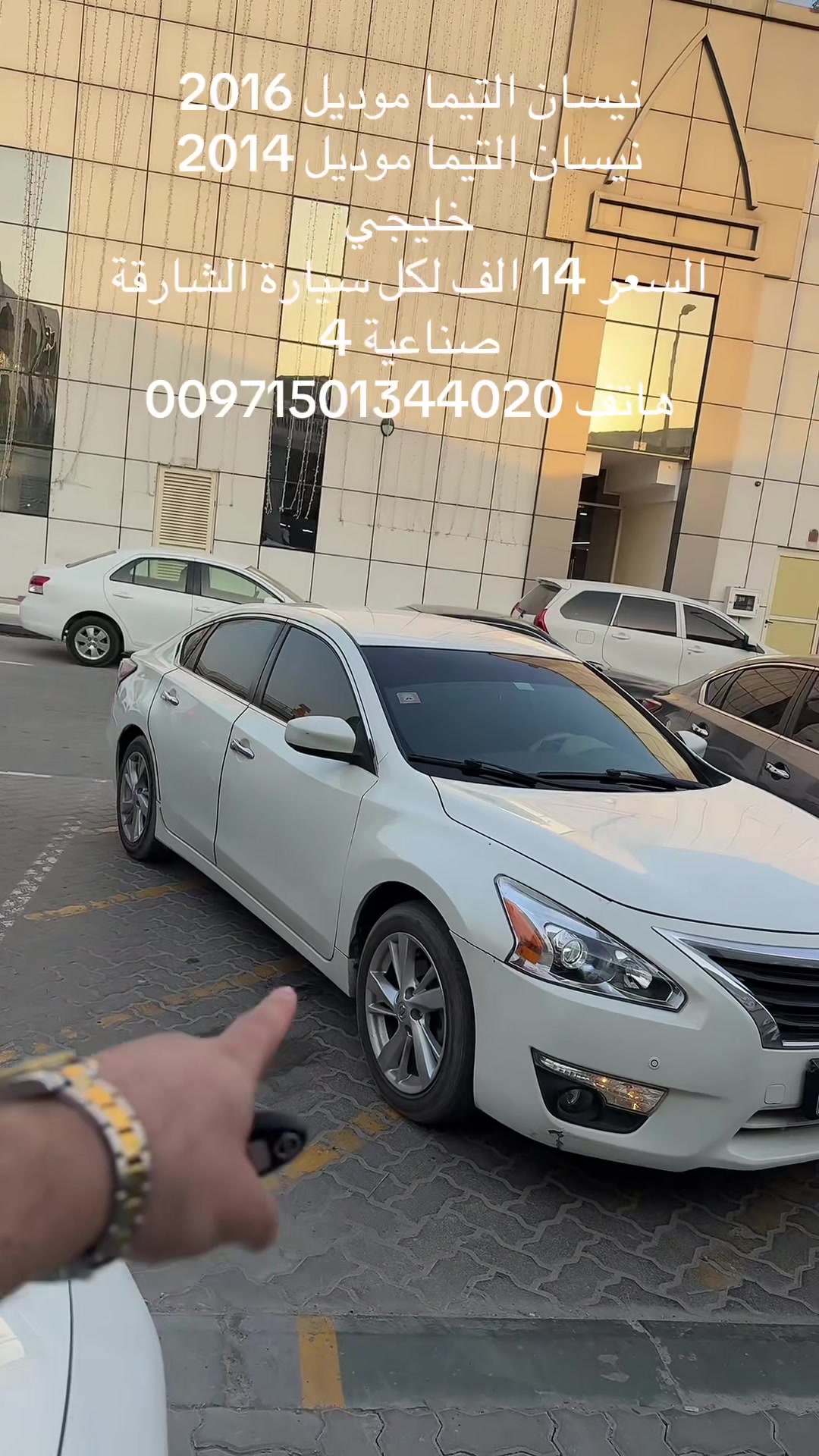 @العربة الذهبية للسيارات
