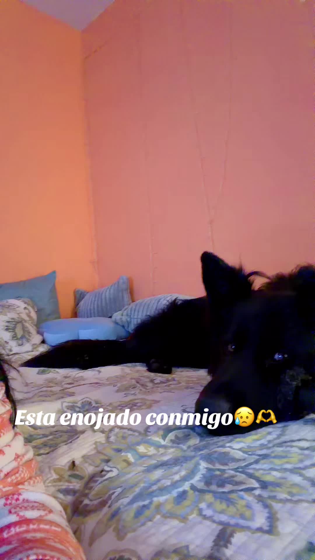 @tatianaolivares982